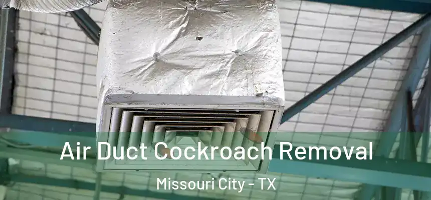 Air Duct Cockroach Removal Missouri City - TX