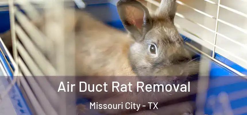 Air Duct Rat Removal Missouri City - TX