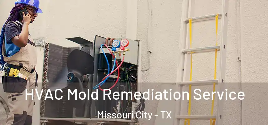 HVAC Mold Remediation Service Missouri City - TX