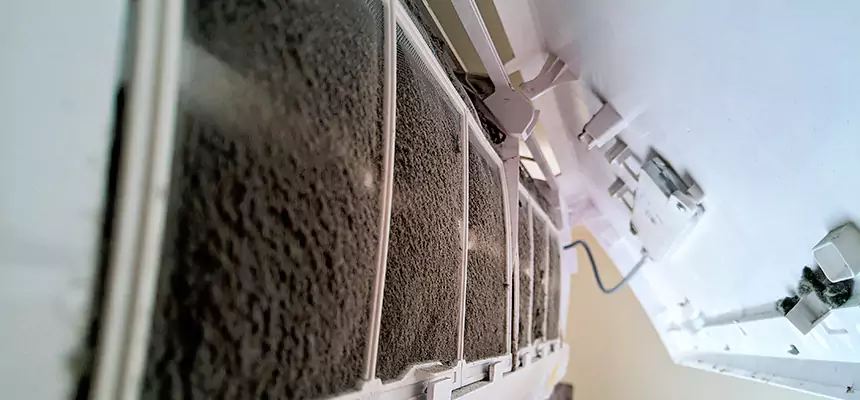 Preventive Air Duct Bacteria Removal in Missouri City