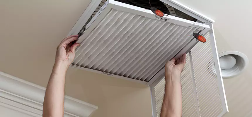 Our Insect Removal from Air Ducts Services in Missouri City, TX