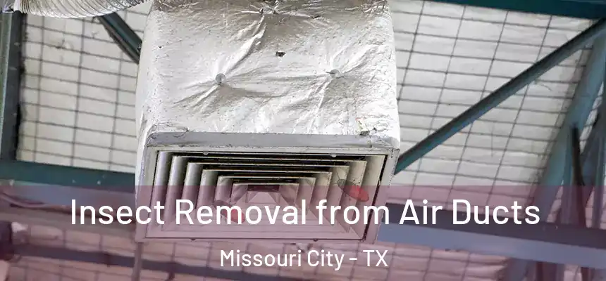 Insect Removal from Air Ducts Missouri City - TX