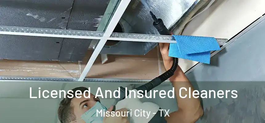 Licensed And Insured Cleaners Missouri City - TX