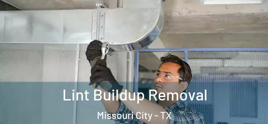 Lint Buildup Removal Missouri City - TX