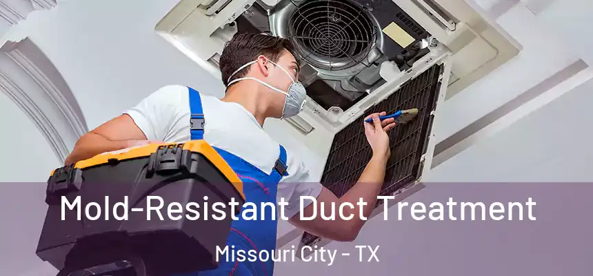 Mold-Resistant Duct Treatment Missouri City - TX