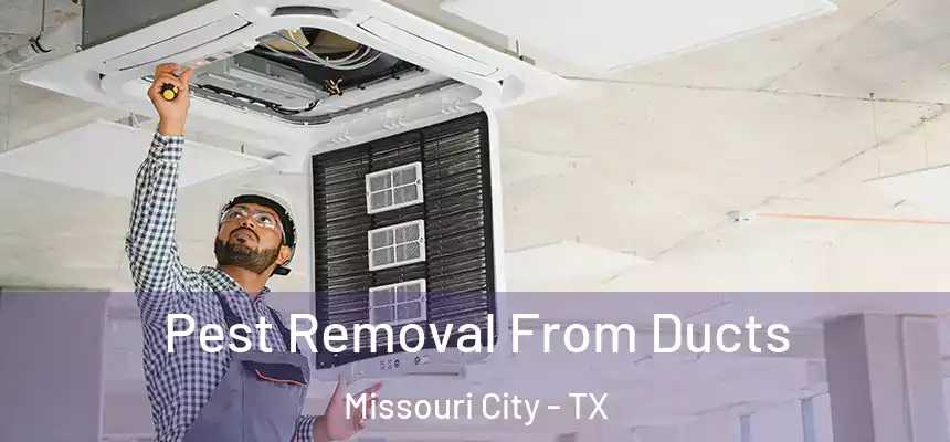 Pest Removal From Ducts Missouri City - TX