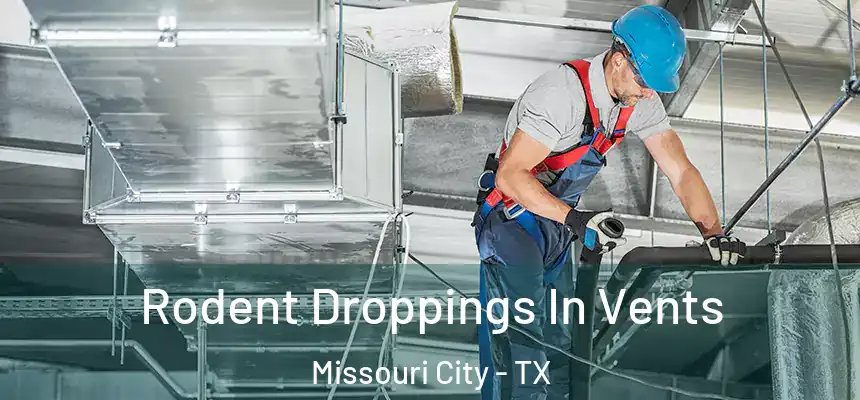 Rodent Droppings In Vents Missouri City - TX