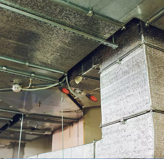 Why Homeowners & Businesses Trust Us in Missouri City, TX?