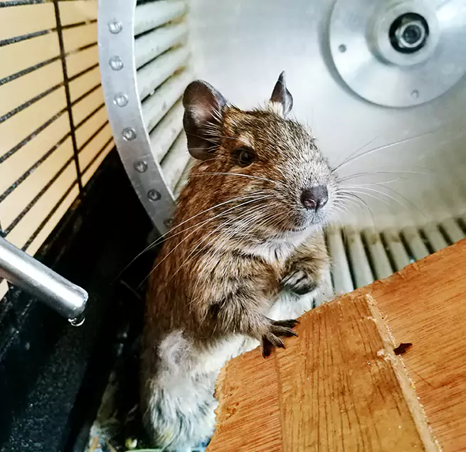 Why Homeowners & Businesses Trust Us Missouri City, TX?