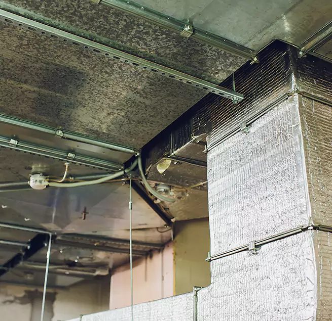 Why Homeowners & Businesses Trust Us in Missouri City, TX?